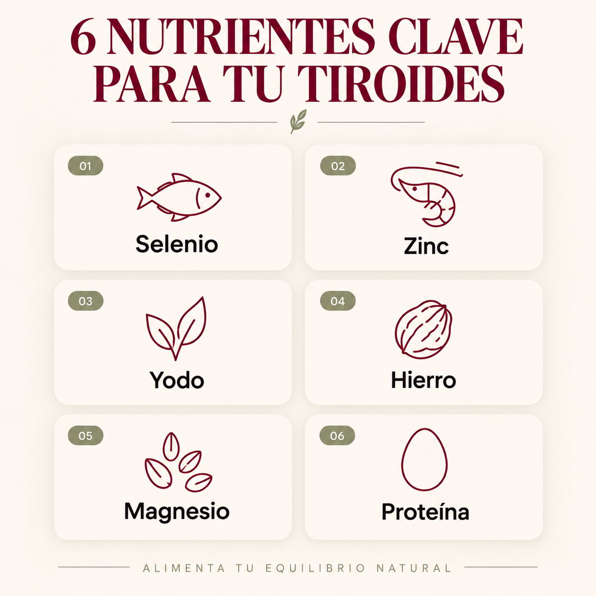 Tiroides en Equilibrio I Guía práctica de alimentación (PDF)